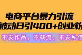（10168期）电商平台暴力引流,被动日引400 创业粉不发作品，不截流，不发私信