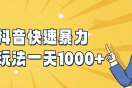 快手抖音快速暴力涨粉玩法，新手小白也能学会，一天1k 【揭秘】