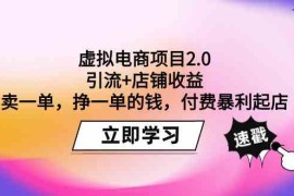 （9645期）虚拟电商项目2.0：引流 店铺收益 卖一单，挣一单的钱，付费暴利起店