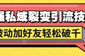 最强私域裂变引流，日引上千粉，轻松日赚几百块（附微信养号