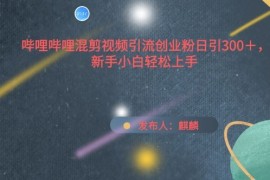 哔哩哔哩混剪视频引流创业粉日引300 ，新手小白轻松上手【揭秘】