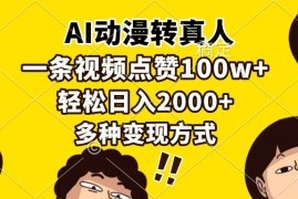 （13650期）AI动漫转真人，一条视频点赞100w ，日入2000 ，多种变现方式