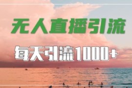 抖音快手视频号全平台通用，无人直播引流法，超暴力引流1000 高质量精准创业粉【揭秘】