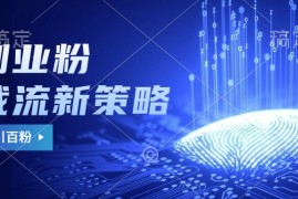 副业粉截流玩法与更新，不废号， 不封号。日引100 