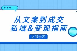 （12641期）从文案到成交，私域
