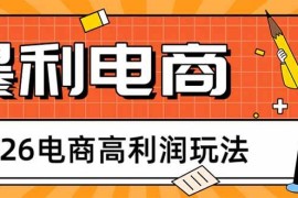 （17963期）2026电商高利润玩法，长期稳定可做，利润高，需求大，日赚500