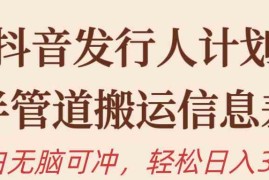 （10129期）抖音发行人计划，半管道搬运，日入300 ，新手小白无脑冲