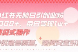小红书无脑每日引流创业粉500 ，小白每天只花半小时，躺赚长尾收益【揭秘】