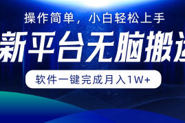 新平台无脑搬运月入1W 软件一键完成，简单无脑小白也能轻松上手