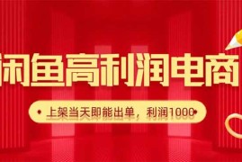（16286期）闲鱼卖爆款货源，每天利润1000，上架即出单