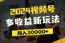 （11905期）2024视频号多收益新玩法，每天5分钟，月入3w ，新手小白都能简单上手