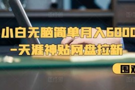 新手小白无脑简单月入6000 的-天涯神贴网盘拉新【揭秘】
