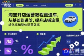 淘宝开店运营教程直通车，从基础到进阶，提升店铺流量，转化率和整体运营效率(更新26年05月27日)