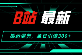（12085期）B站最新，搬运混剪，单日引流300 创业粉