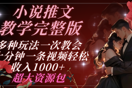 小说推文教学完整版 多种玩法一次教会 十分钟一条视频轻松收入1000  超大资源包