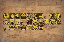 纯原创音乐项目，创作无界限，引发无限讨论，全平台可发布