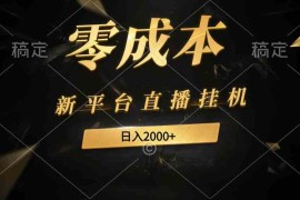（9841期）新平台直播挂机最新玩法，0成本，不违规，日入2000 