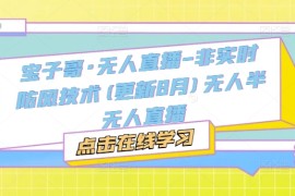宝子哥·无人直播-非实时防风技术(更新25年9月)无人半无人直播