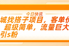同城找搭子项目，客单价9.9，超级简单，流量巨大，吸引s粉