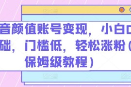 抖音颜值账号变现，小白0基础，门槛低，轻松涨粉(保姆级教程)【揭秘】