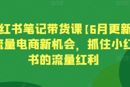 小红书笔记带货课【6月更新】流量电商新机会，抓住小红书的流量红利