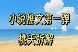 小说推文项目操作全流程第一弹，0粉就能做，门槛低非常适合新手