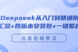 完整版Deepseek从入门到精通附最全指令汇总 各版本安装包 一键整合包