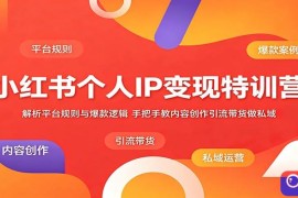 小红书个人IP变现特训营：解析平台规则与爆款逻辑，手把手教内容创作引流带货做私域