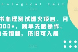 小红书心理测试爆火项目，月入7000 ，简单无脑操作，尚未饱和，依旧可入局