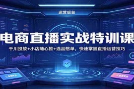 电商直播实战特训课：千川投放 小店随心推 选品憋单，快速掌握直播运营技巧