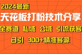 天花板打粉技术分享，野路子玩法 曝光玩法免费矩阵自热技术日引2000 精准客户