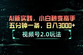 （10888期）视频号2.0玩法 AI新实践，小白秒变高手五分钟一条，日入3000 