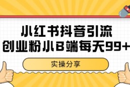 小红书抖音创业粉，小B端粉自热 日引99 的一个玩法【揭秘】