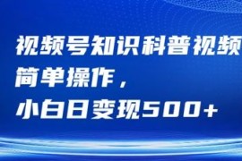 视频号知识科普视频，简单操作，小白日变现500 【揭秘】