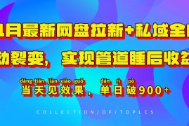 11月最新网盘拉新 私域全自动裂变，实现管道睡后收益，当天见效果，单日破900 