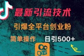 最新引流方法，引爆全平台的一个创业粉，简单操作日引300 