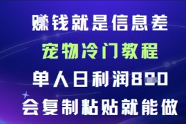 賺钱就是信息差宠物冷门教程，单人日利润日8张会复制粘贴就能做