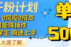 抖音千粉计划，日入500 ，包落地，当日拿成果