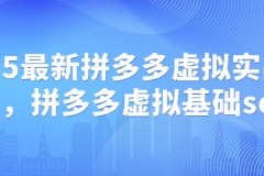 2025最新拼多多虚拟实战打法，拼多多虚拟基础sop