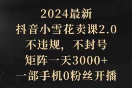 （9639期）2024最新抖音小雪花卖课2.0 不违规 不封号 矩阵一天3000 一部手机0粉丝开播