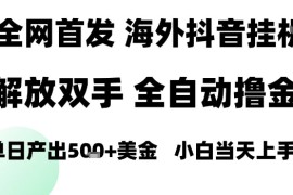 海外抖音无人直播，单日产出1.5k ，长期稳定，新手可玩，无脑操作【揭秘】