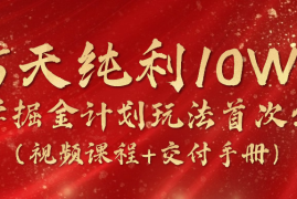 （10405期）15天纯利10W ，国学掘金计划2024玩法全网首次公开（视频课程 交付手册）