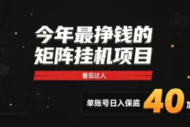 2026热门副业｜番茄达人矩阵全自动挂G项目，单账号保底日入40 ，无需人工盯守【揭秘】
