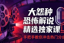 大怨种恐怖解说精选独家课：电影下载 文案配音 片头封面，手把手教你冲击热门分成