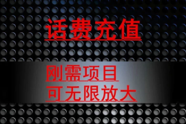 最新蓝海项目，刚需赛道，95 折充话费月入 5 位数