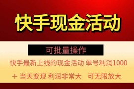 （11819期）快手新活动项目！单账号利润1000  非常简单【可批量】（项目介绍＋项目…