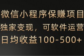 微信小程序，腾讯保赚项目，可软件自动运营，日均100-500 收益有保障