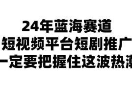 24年短视频平台短剧推广，教你通过短剧日入斗金