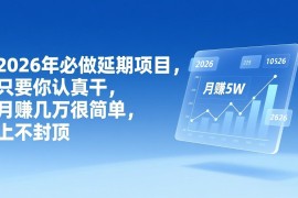 2026年延期项目，只要你认真干，月赚几万很简单，上不封顶