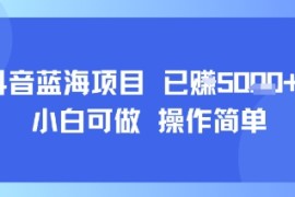 抖音蓝海项目，小白可做，操作简单，可批量制作，已挣5k 